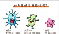 emc易倍官网科技