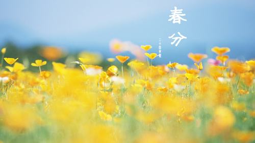 身高体重秤