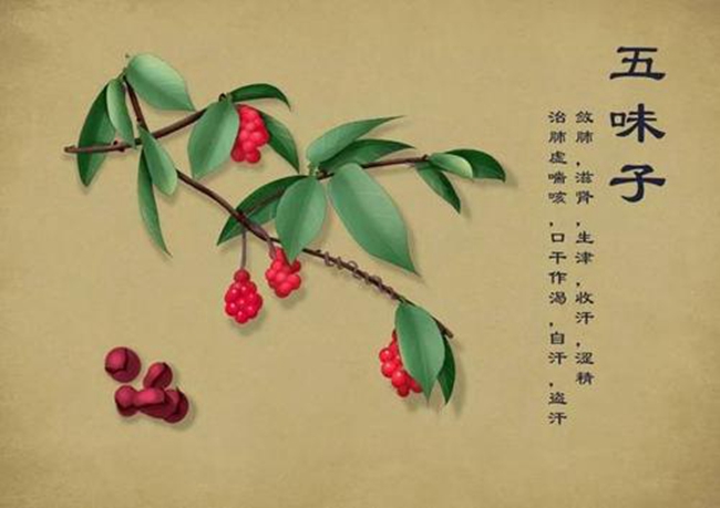 emc易倍官网科技