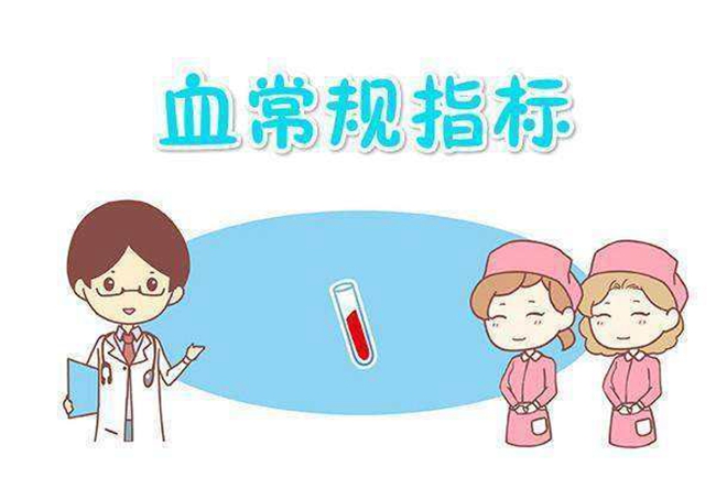 emc易倍官网科技